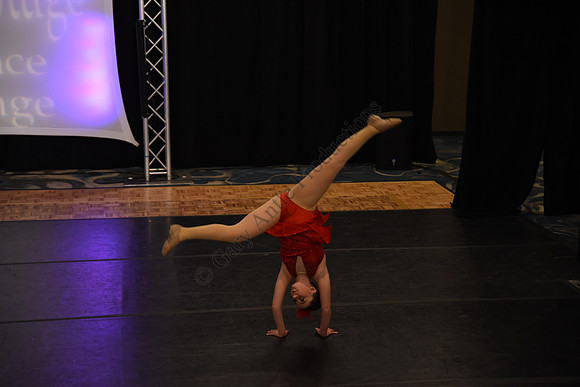 DCB_4439