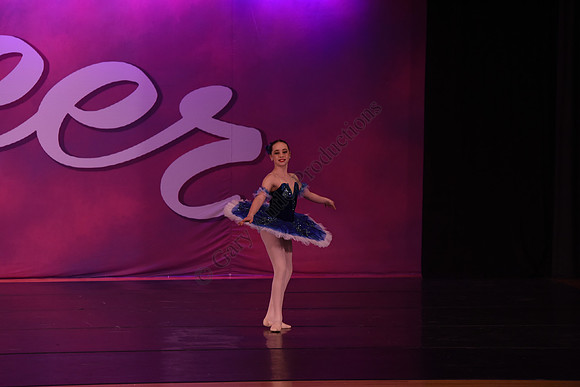 SEL_0453
