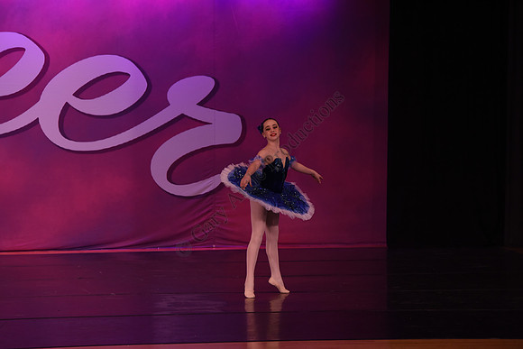 SEL_0454