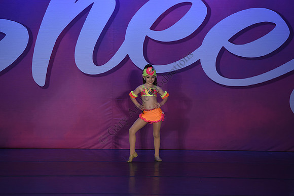 SEM_2012